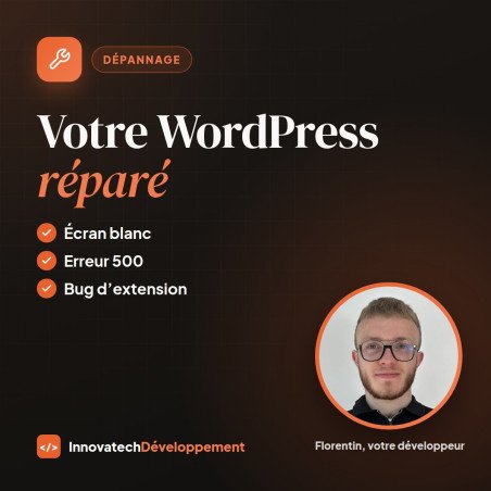 Dépannage WordPress (écran blanc, erreur 500, bug)